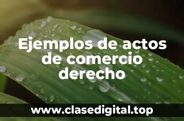 Ejemplos de actos de comercio derecho