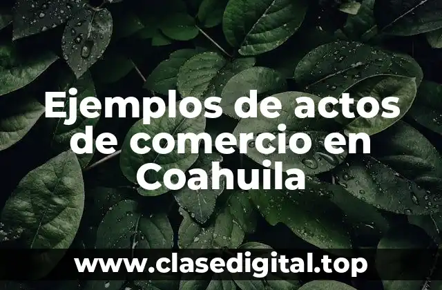 Ejemplos de actos de comercio en Coahuila
