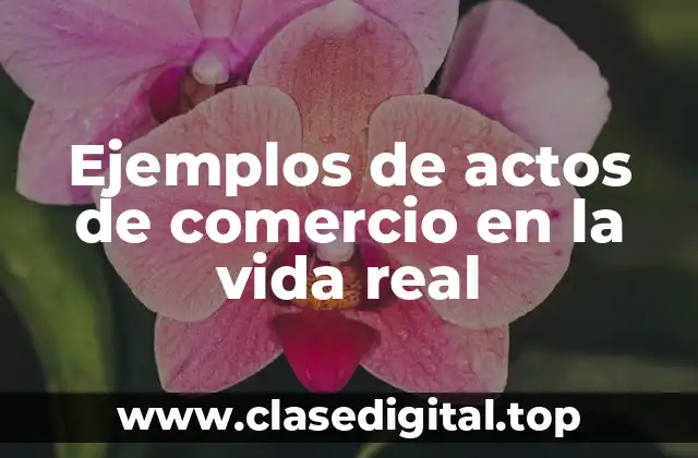 Ejemplos de actos de comercio en la vida real