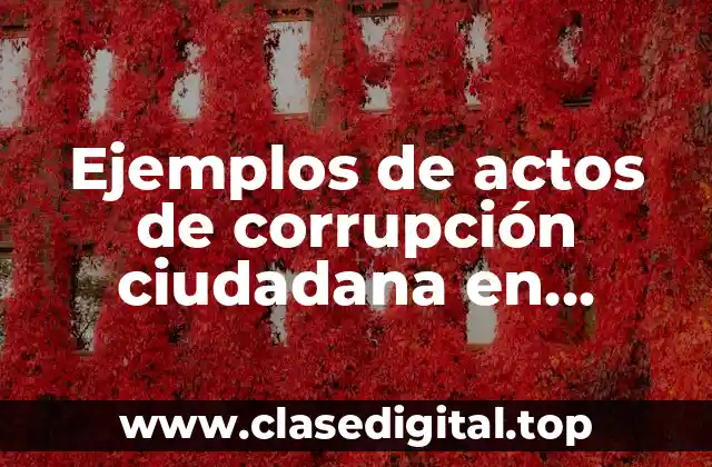 Ejemplos de actos de corrupción ciudadana en México y Significado