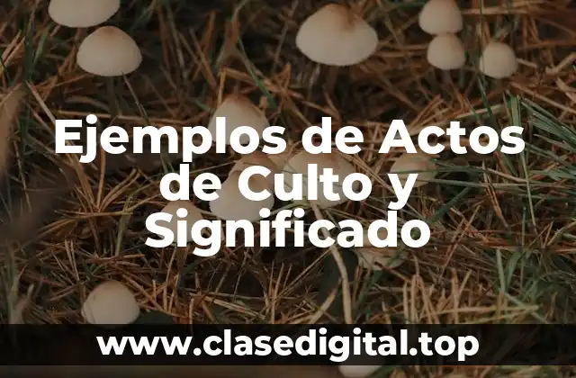 Ejemplos de Actos de Culto