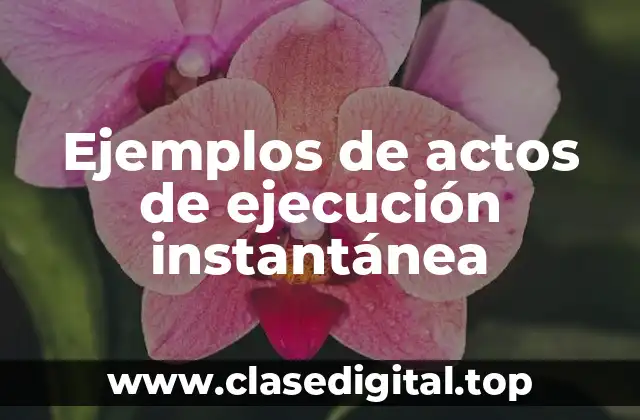 Ejemplos de actos de ejecución instantánea