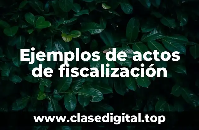 Ejemplos de actos de fiscalización