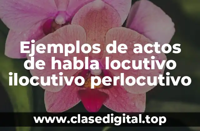 Ejemplos de actos de habla locutivo ilocutivo perlocutivo