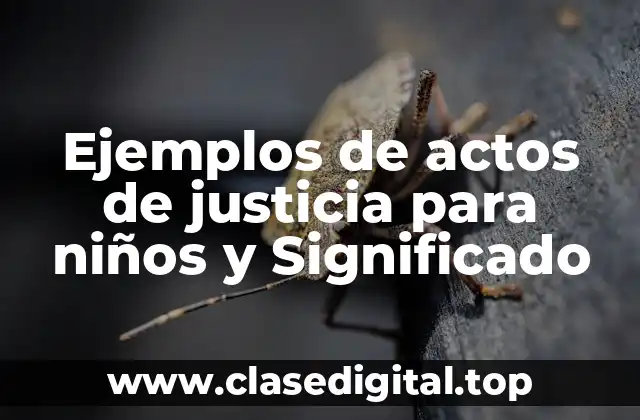 Ejemplos de actos de justicia para niños y Significado