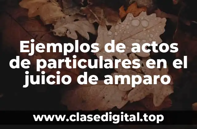 Ejemplos de actos de particulares en el juicio de amparo