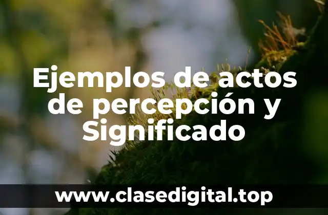 Ejemplos de actos de percepción