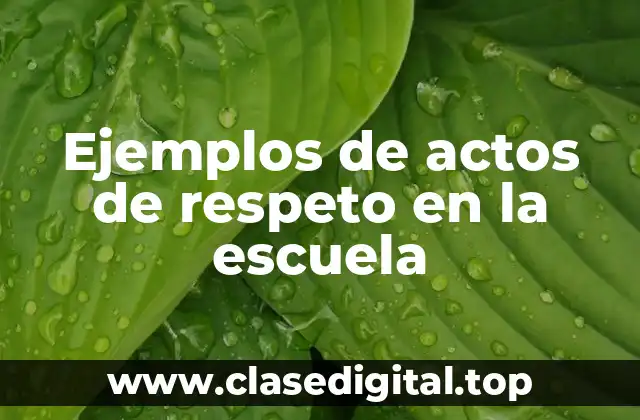 Ejemplos de actos de respeto en la escuela