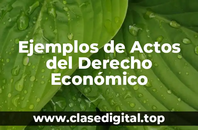Ejemplos de Actos del Derecho Económico