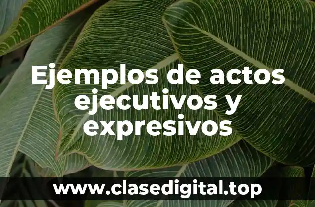 Ejemplos de actos ejecutivos y expresivos