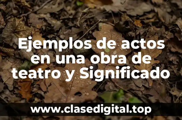 Ejemplos de actos en una obra de teatro y Significado