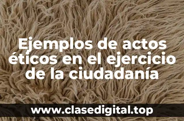 Ejemplos de actos éticos en el ejercicio de la ciudadanía