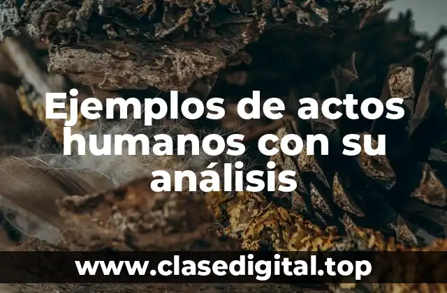 Ejemplos de actos humanos con su análisis
