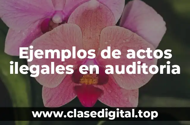 Ejemplos de actos ilegales en auditoria