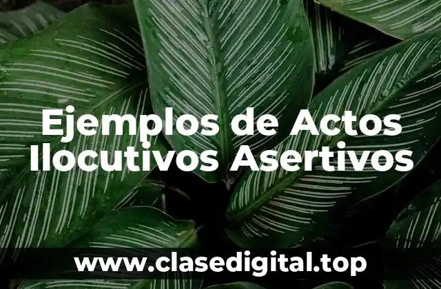 Ejemplos de Actos Ilocutivos Asertivos