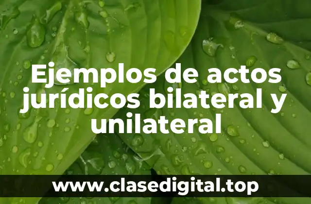 Ejemplos de actos jurídicos bilateral y unilateral