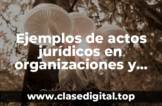 Ejemplos de actos jurídicos en organizaciones y Significado