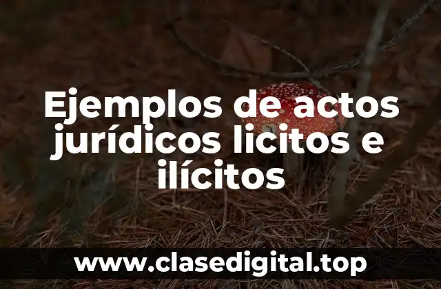 Ejemplos de actos jurídicos licitos e ilícitos