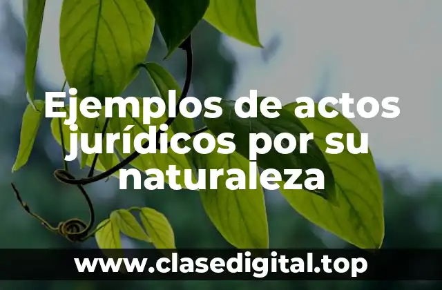 Ejemplos de actos jurídicos por su naturaleza