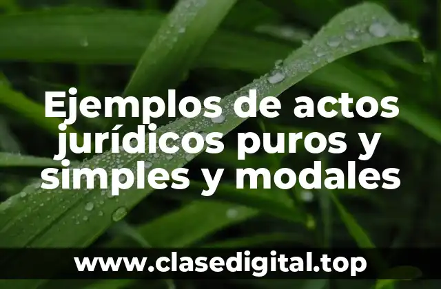 Ejemplos de actos jurídicos puros y simples y modales
