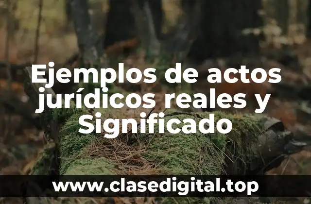 Ejemplos de actos jurídicos reales y Significado