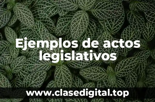 Ejemplos de actos legislativos