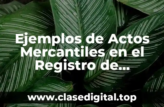 Ejemplos de Actos Mercantiles