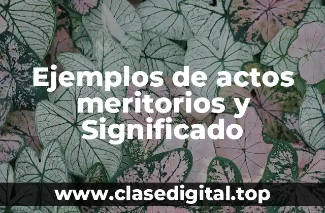 Ejemplos de actos meritorios y Significado