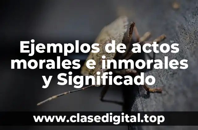 Ejemplos de actos morales e inmorales y Significado