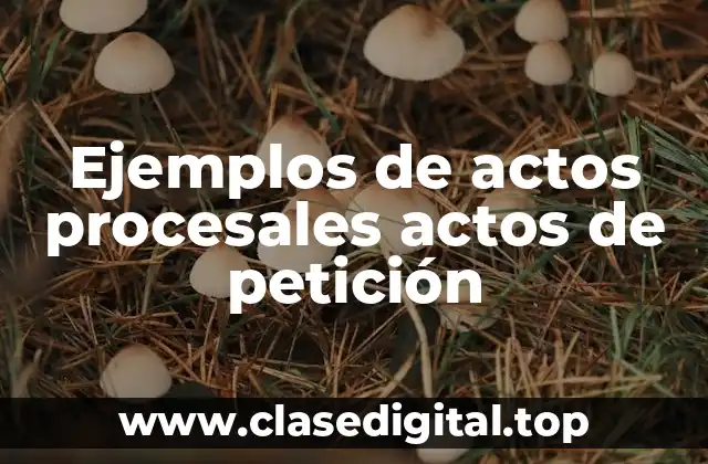 Ejemplos de actos procesales actos de petición