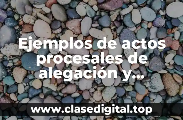 Ejemplos de actos procesales de alegación y Significado