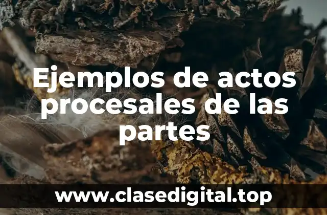 Ejemplos de actos procesales de las partes