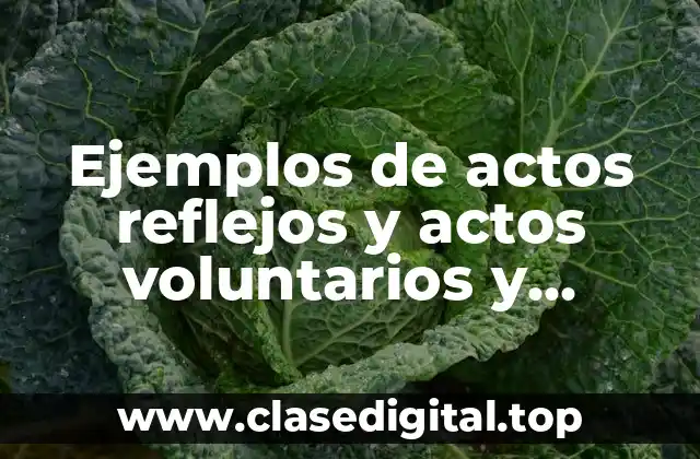 Ejemplos de actos reflejos y actos voluntarios y Significado