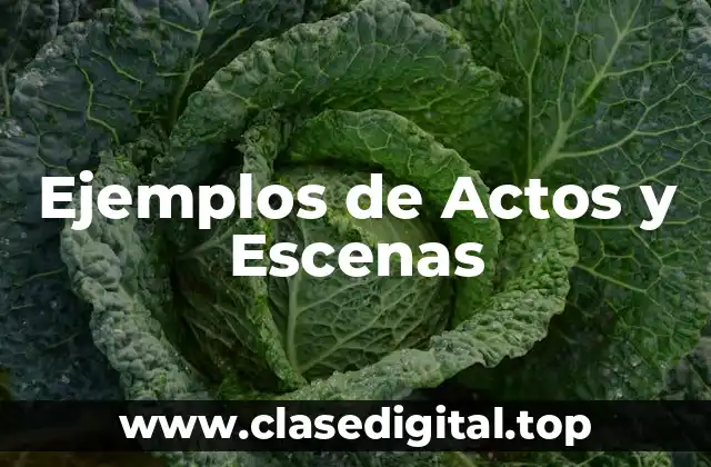 Ejemplos de Actos y Escenas