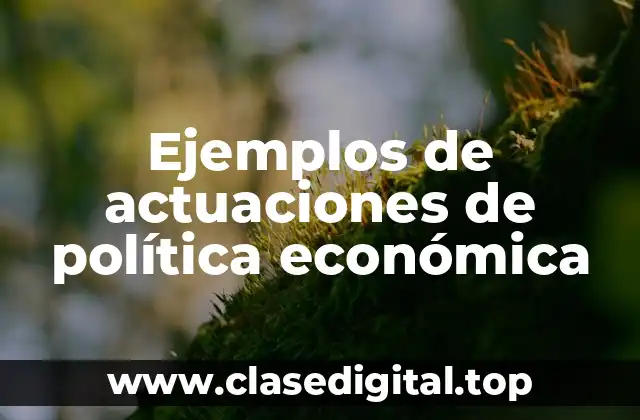 Ejemplos de actuaciones de política económica
