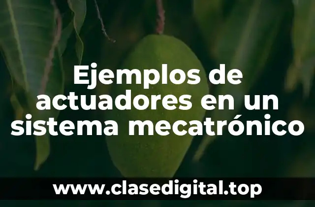 Ejemplos de actuadores en un sistema mecatrónico