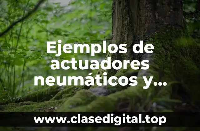 Ejemplos de actuadores neumáticos y Significado