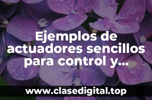 Ejemplos de actuadores sencillos para control y Significado