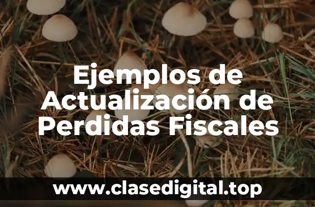 Ejemplos de Actualización de Perdidas Fiscales