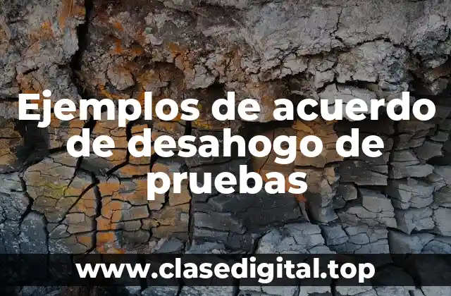 Ejemplos de acuerdo de desahogo de pruebas