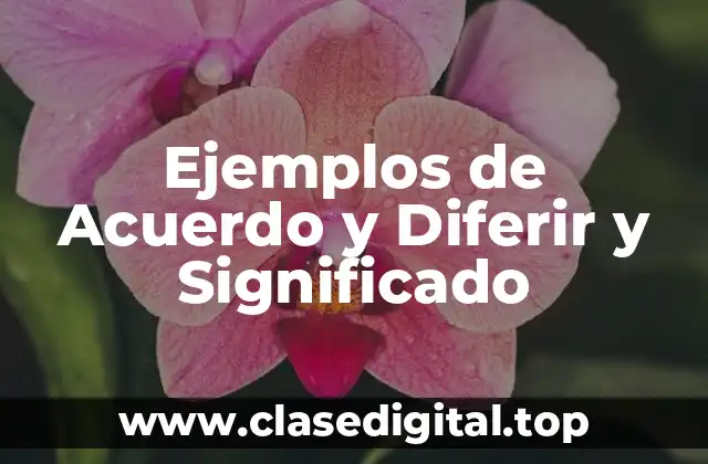Ejemplos de Acuerdo y Diferir y Significado