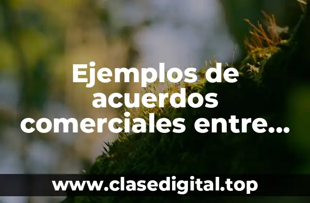 Ejemplos de acuerdos comerciales entre empresas