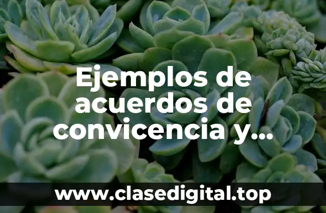 Ejemplos de acuerdos de convicencia