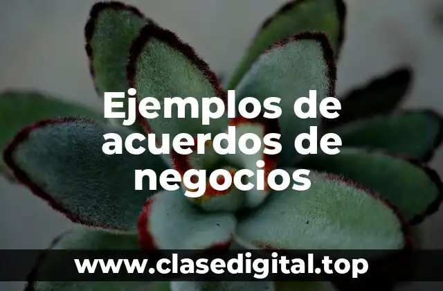 Ejemplos de acuerdos de negocios