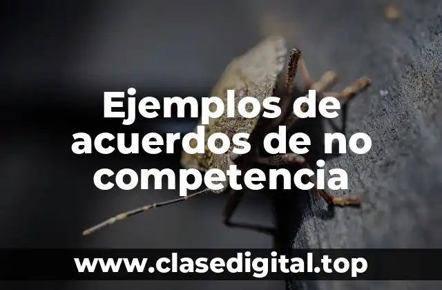 Ejemplos de acuerdos de no competencia