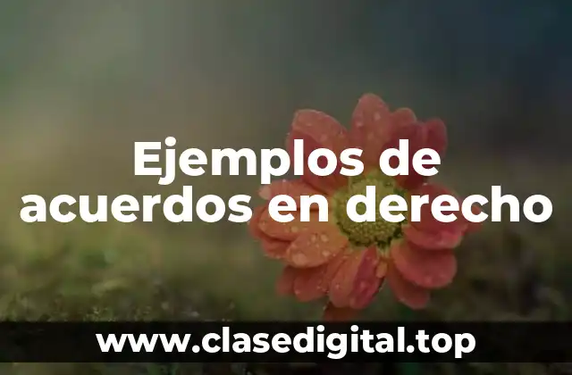 Ejemplos de acuerdos en derecho