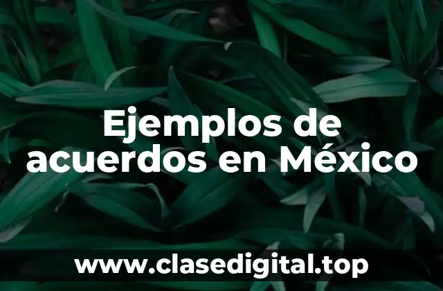 Ejemplos de acuerdos en México