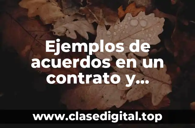 Ejemplos de acuerdos en un contrato y Significado