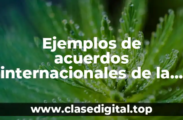 Ejemplos de acuerdos internacionales de la OMC