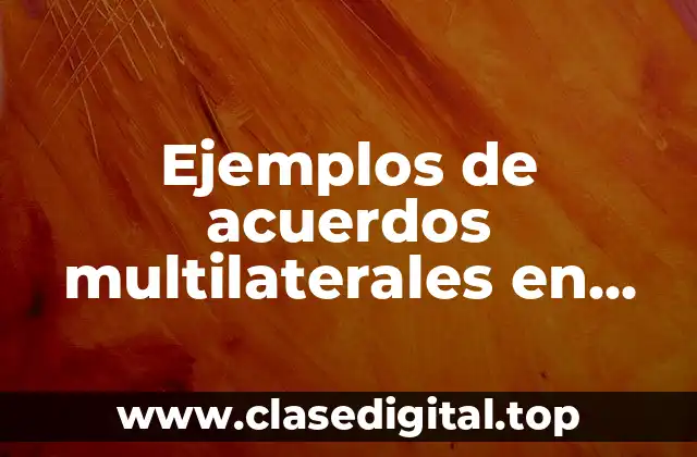 Ejemplos de acuerdos multilaterales en derechos humanos